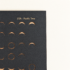 2027 Moon Phase Lunar Calendar - Shadow Edition